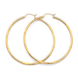 Hoop Earrings in 14K Gold