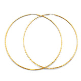 Hoop Earrings in 14K Gold
