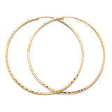 Hoop Earrings in 14K Gold