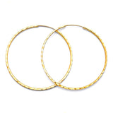 Hoop Earrings in 14K Gold
