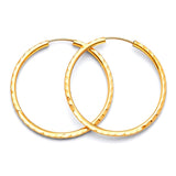 Hoop Earrings in 14K Gold