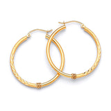 Hoop Earrings in 14K Gold