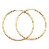 Hoop Earrings in 14K Gold