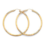 Hoop Earrings in 14K Gold