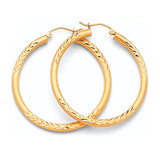 Hoop Earrings in 14K Gold