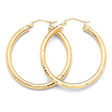 Hoop Earrings in 14K Gold