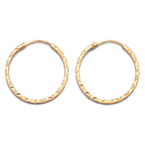 Hoop Earrings in 14K Gold