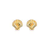 Shell Stud Earrings in 14K Gold and Butterfly Backing