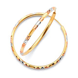 Hoop Earrings in 14K Tri-Color Gold