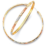 Hoop Earrings in 14K Tri-Color Gold