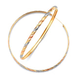 Hoop Earrings in 14K Tri-Color Gold