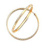 Hoop Earrings in 14K Gold