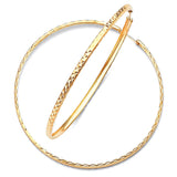 Hoop Earrings in 14K Gold