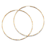 Hoop Earrings in 14K Tri-Color Gold
