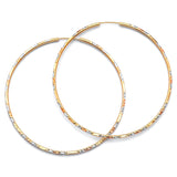 Hoop Earrings in 14K Tri-Color Gold