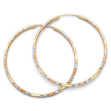 Hoop Earrings in 14K Tri-Color Gold