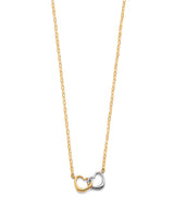 Adjustable Heart Charm Necklace in 14K Two-Tone Gold