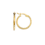 Hoop Earrings in 14K Gold