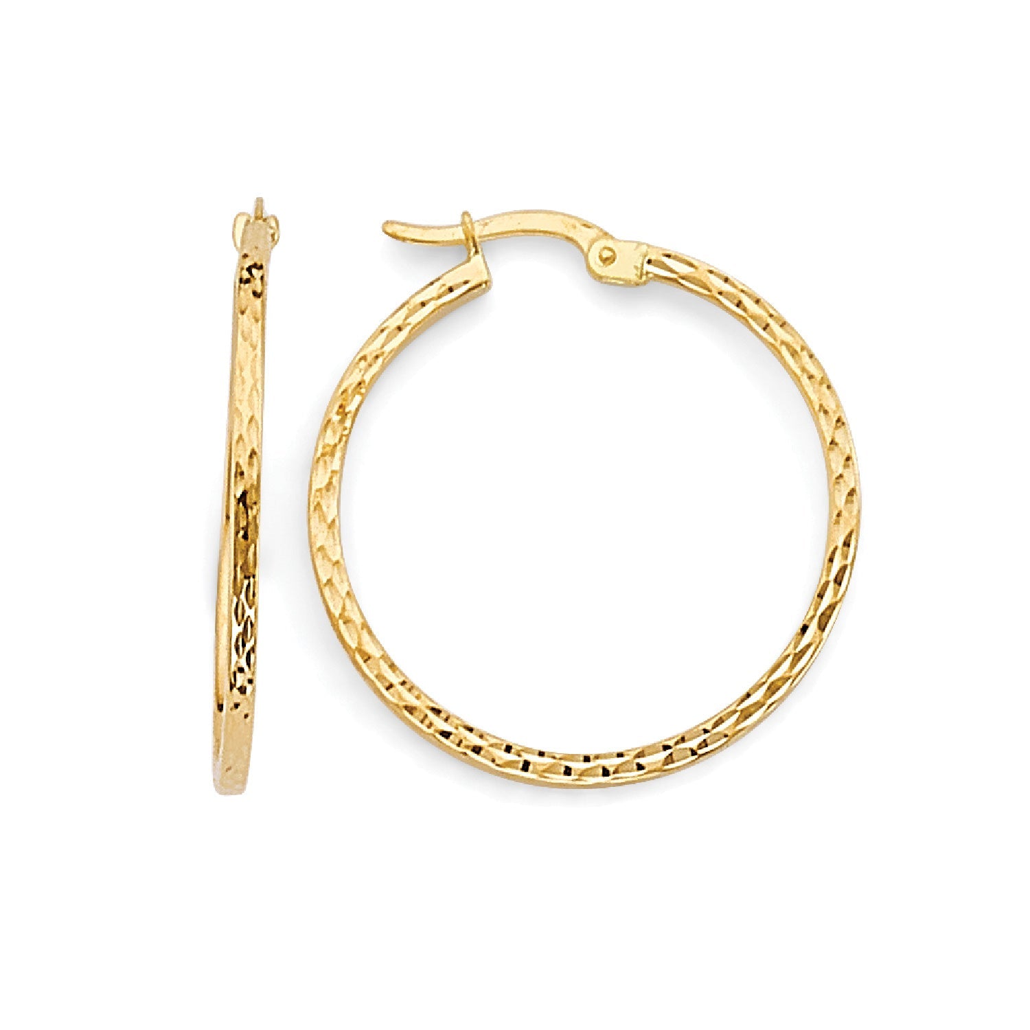 Hoop Earrings in 14K Gold