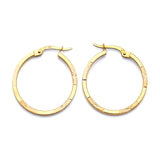 Hoop Earrings in 14K Gold