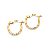 Hoop Earrings in 14K Gold