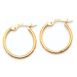 Hoop Earrings in 14K Gold