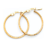 Hoop Earrings in 14K Gold