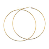 Hoop Earrings in 14K Gold