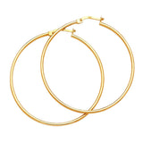 Hoop Earrings in 14K Gold
