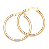 Hoop Earrings in 14K Gold