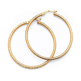 Hoop Earrings in 14K Gold