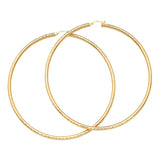 Hoop Earrings in 14K Gold