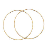 Hoop Earrings in 14K Gold